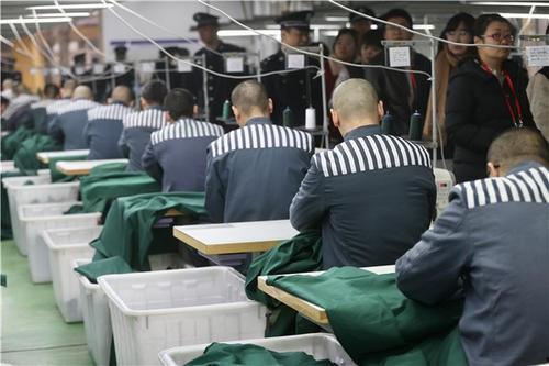 监狱罪犯爆料视频大全,罪犯爆料视频大全深度解析  第1张