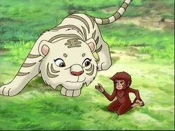 小虎还乡在线观看,乡愁与成长的交织之旅 第1张 小虎还乡在线观看,乡愁与成长的交织之旅 第1张